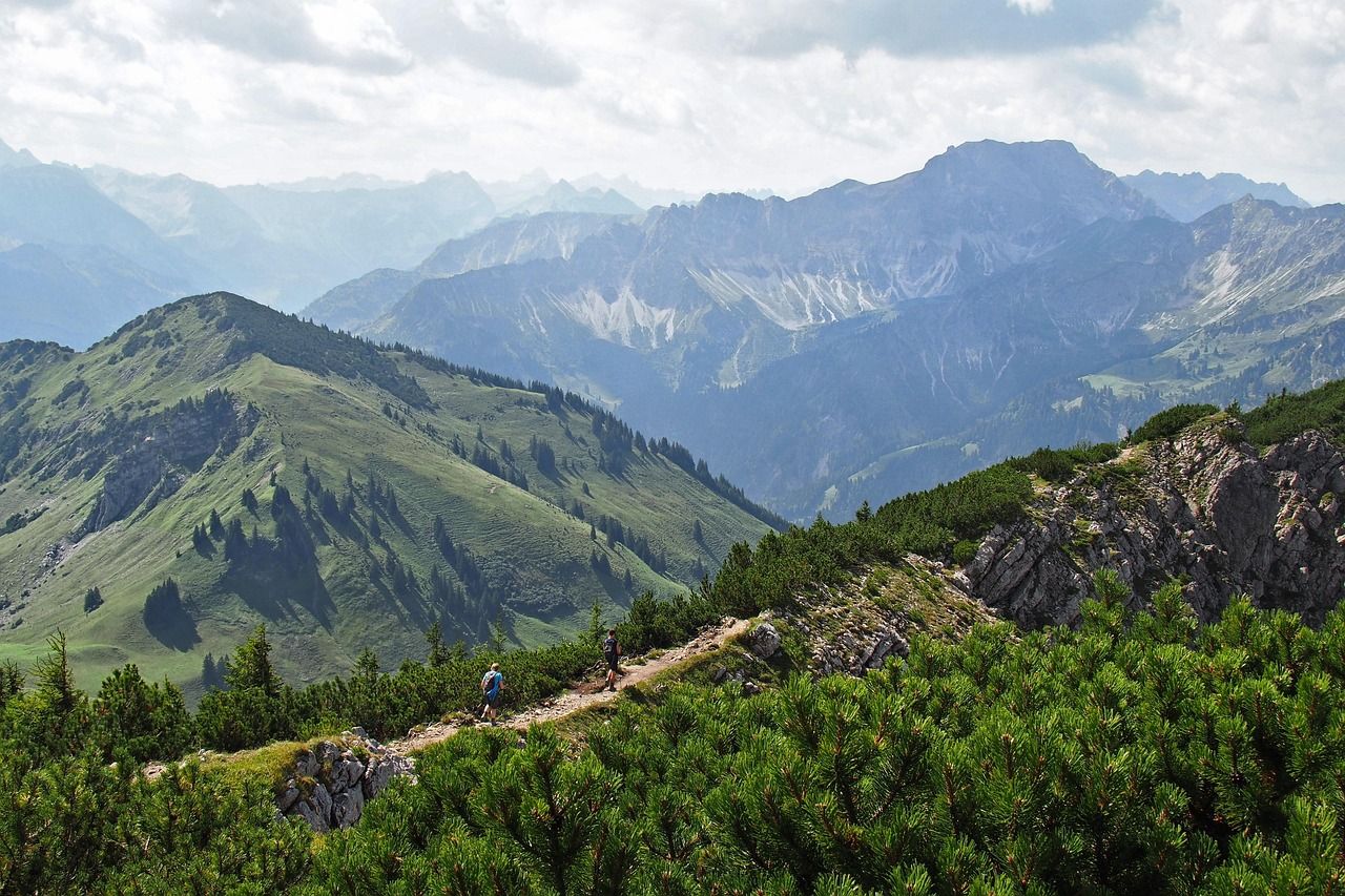 Forested mountain scenery in the San Juan Mountains near the Hermosa Creek Trail north of Durango